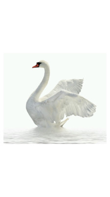 天使宝宝学说话-小米应用商店