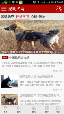 昆明犬网