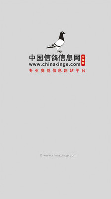 慕利門絳鴿配對（圖）-海鷹聯合鴿捨-中國信鴿資訊網 www.chinaxinge.com