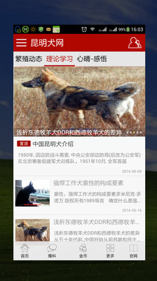 【免費生活App】昆明犬网-APP點子