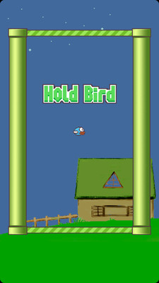 跳跃小鸟 Hold Bird