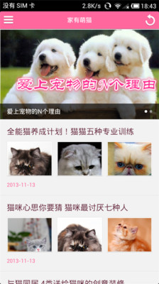 【免費生活App】家有萌猫-APP點子