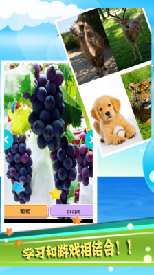 免費下載教育APP|天天看图识字 app開箱文|APP開箱王