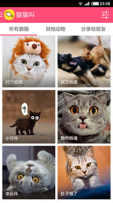 【免費娛樂App】猫猫叫-APP點子