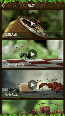 【免費娛樂App】昆虫总动员-APP點子