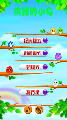 免費下載休閒APP|疯狂的小鸟 app開箱文|APP開箱王