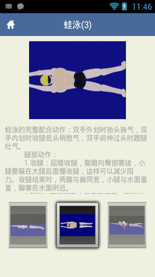 【免費生活App】跟我学游泳-APP點子