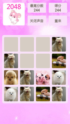 【免費休閒App】2048萌宠版-APP點子