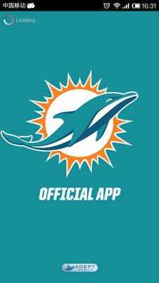 Dolphins 2013