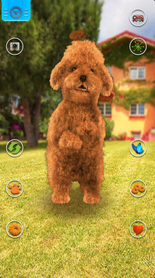 【免費娛樂App】Talking Teddy Dog-APP點子