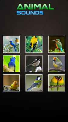 【免費娛樂App】动物的叫声 Animal Sounds-APP點子