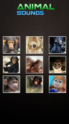 【免費娛樂App】动物的叫声 Animal Sounds-APP點子