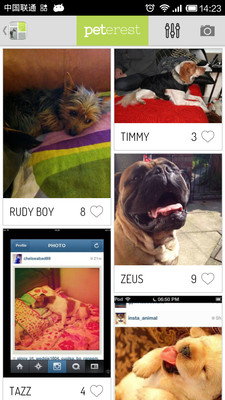 免費下載社交APP|宠物社区Peterest app開箱文|APP開箱王