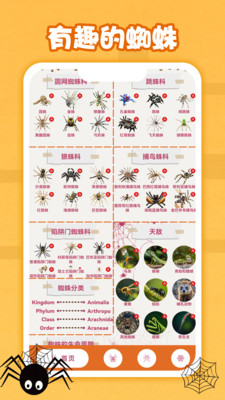 野外常见蜘蛛识别手册=常见蜘蛛野外识别手册pdf