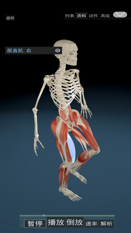 3D动态解剖