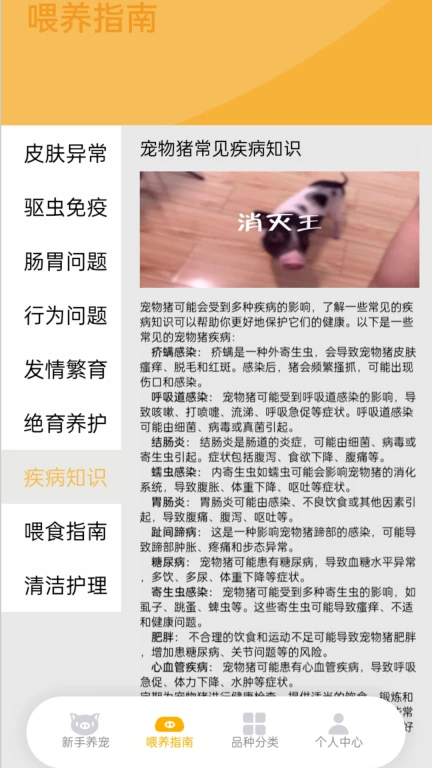 口袋养猪