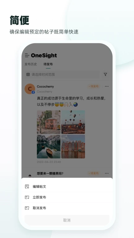 OneSight