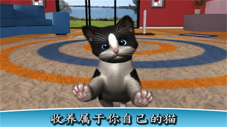 我的猫咪