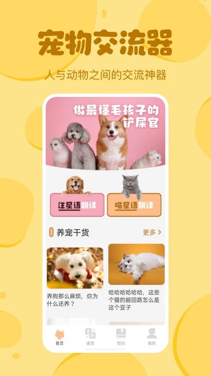 喵喵猫狗翻译器