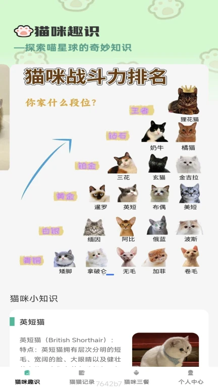 猫咪趣看