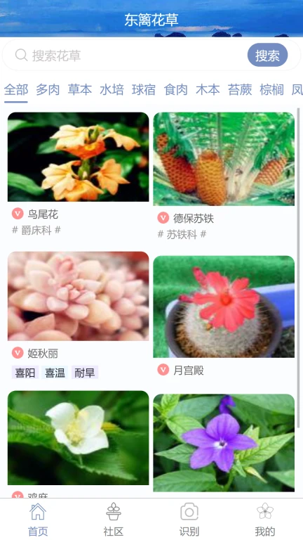 东篱花草