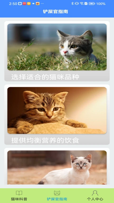 猫咪请就位