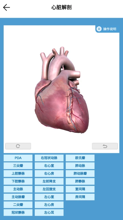 维思模TEE