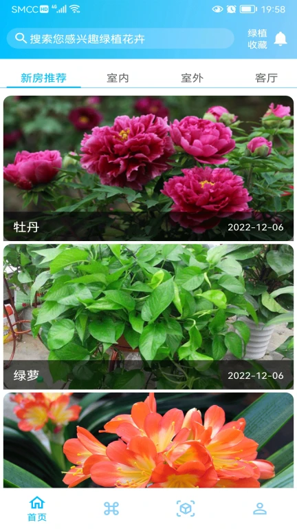 绿植花卉