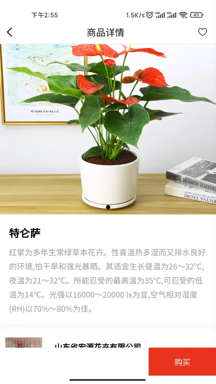 青州花卉平台