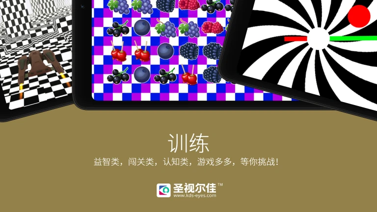 圣视尔佳弱视训练软件