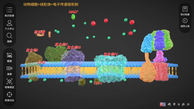 细胞生物学3D资源库系统