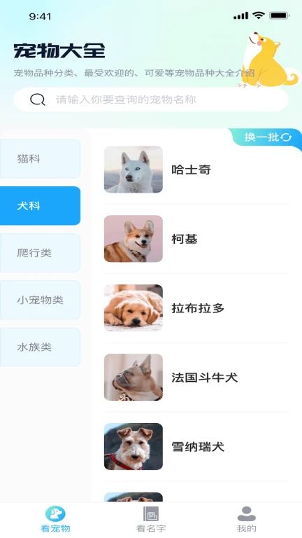 熊猫爱看