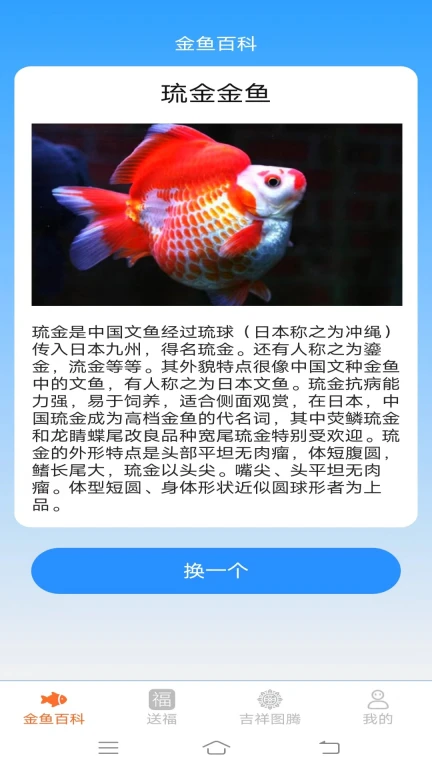 金鱼迎福