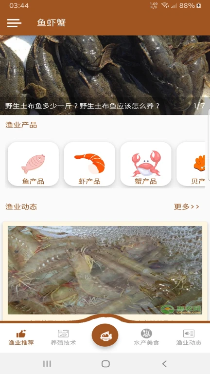 鱼虾蟹