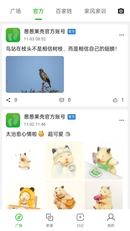 葱葱果壳