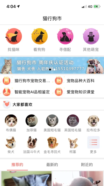 猫行狗市宠物交易市场