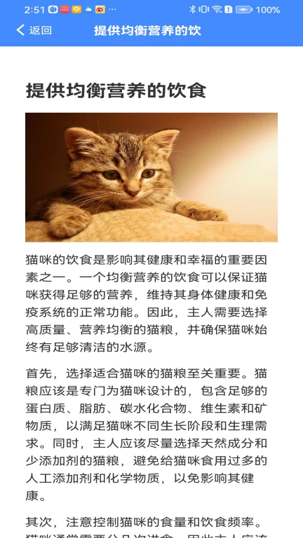 猫咪请就位