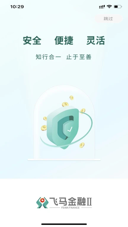 飞马金融II