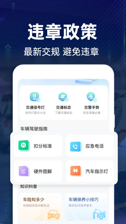 交通违章查询