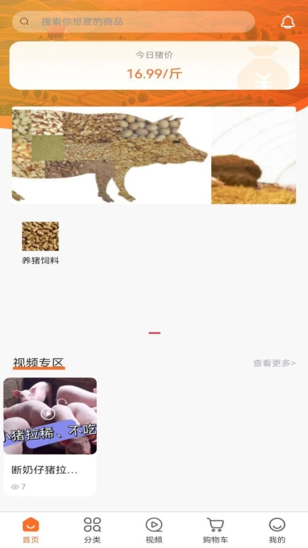 养猪一加一