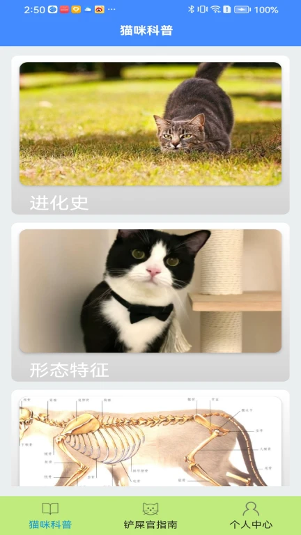 猫咪请就位