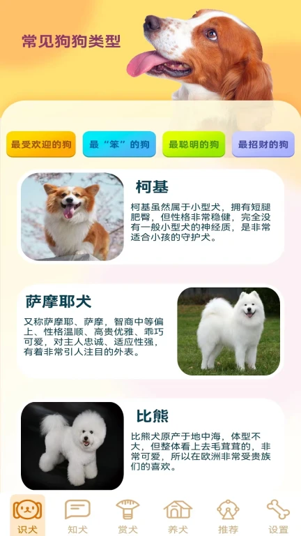 欢乐旺旺犬